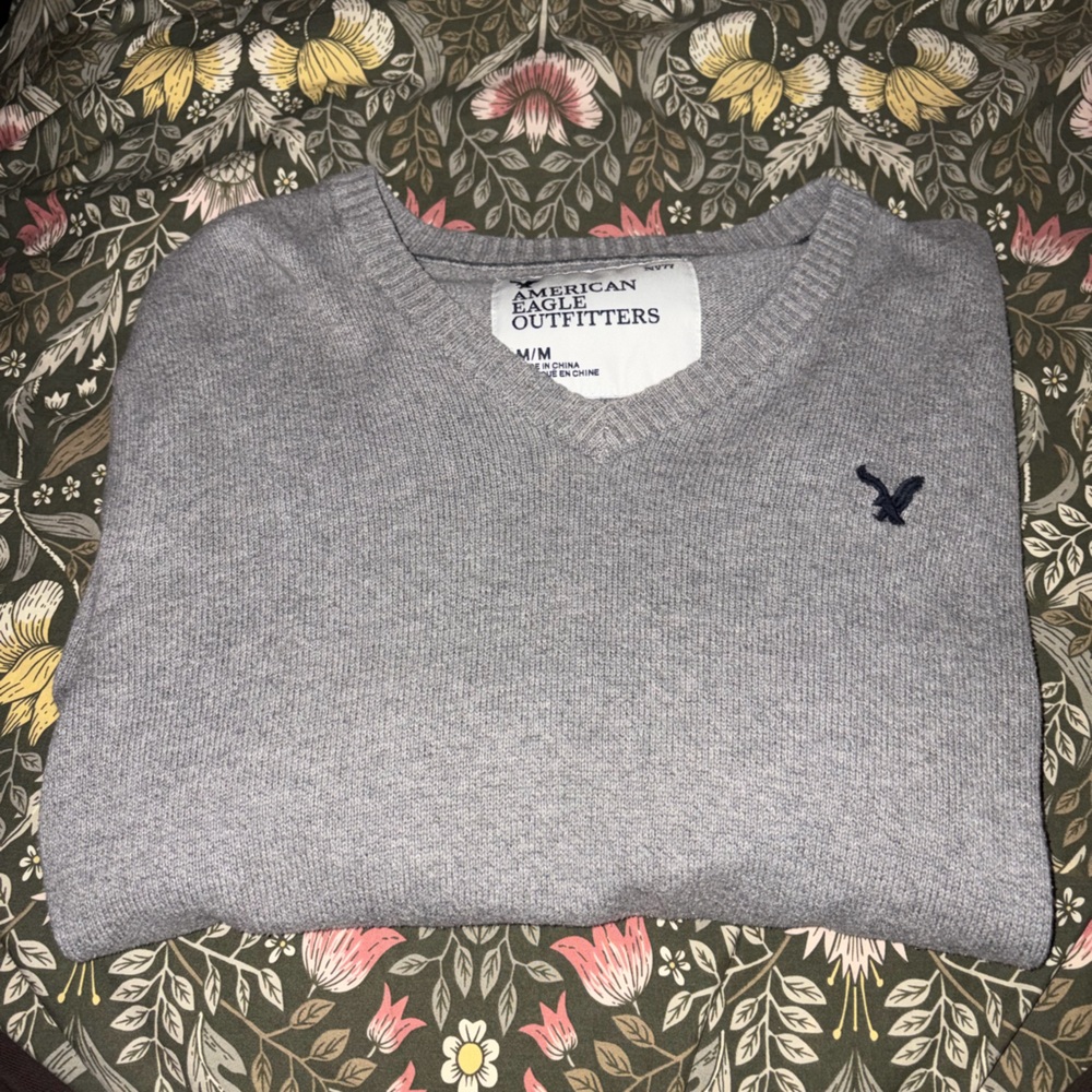 American Eagle Outfitters Light Gray V-Neck Sweater with Navy Logo